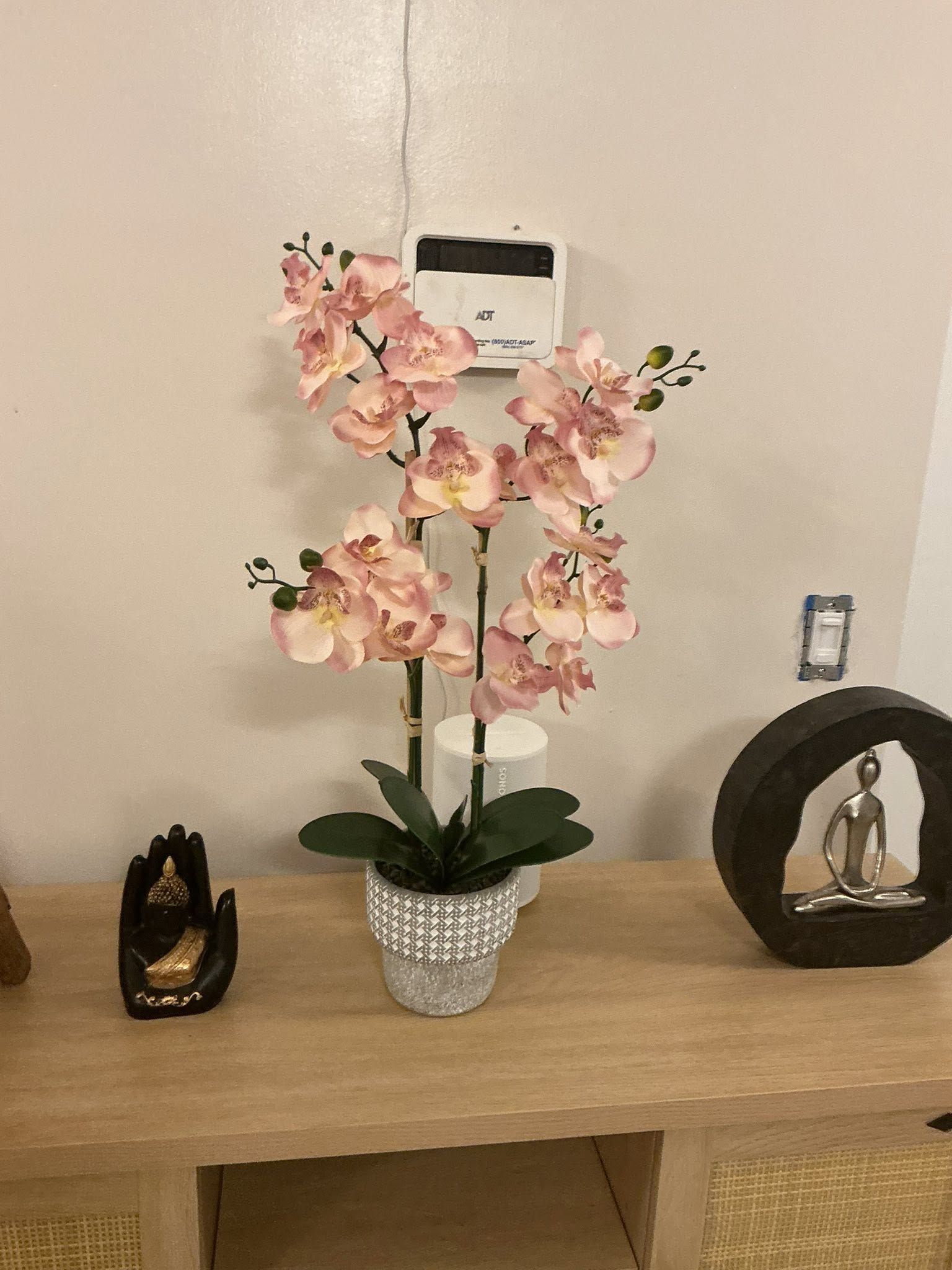 Photo from Google Business Profile